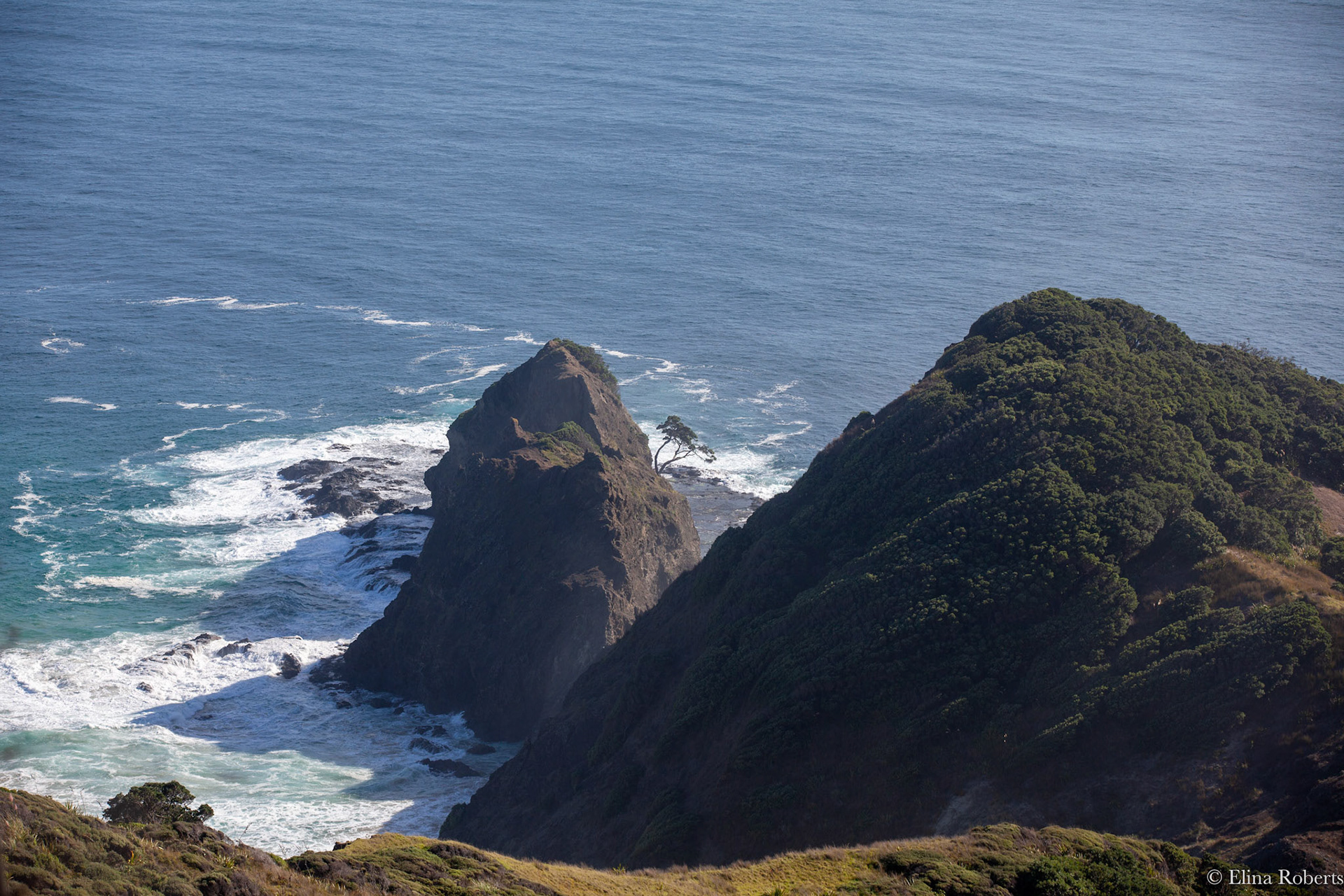 Cape Reinga