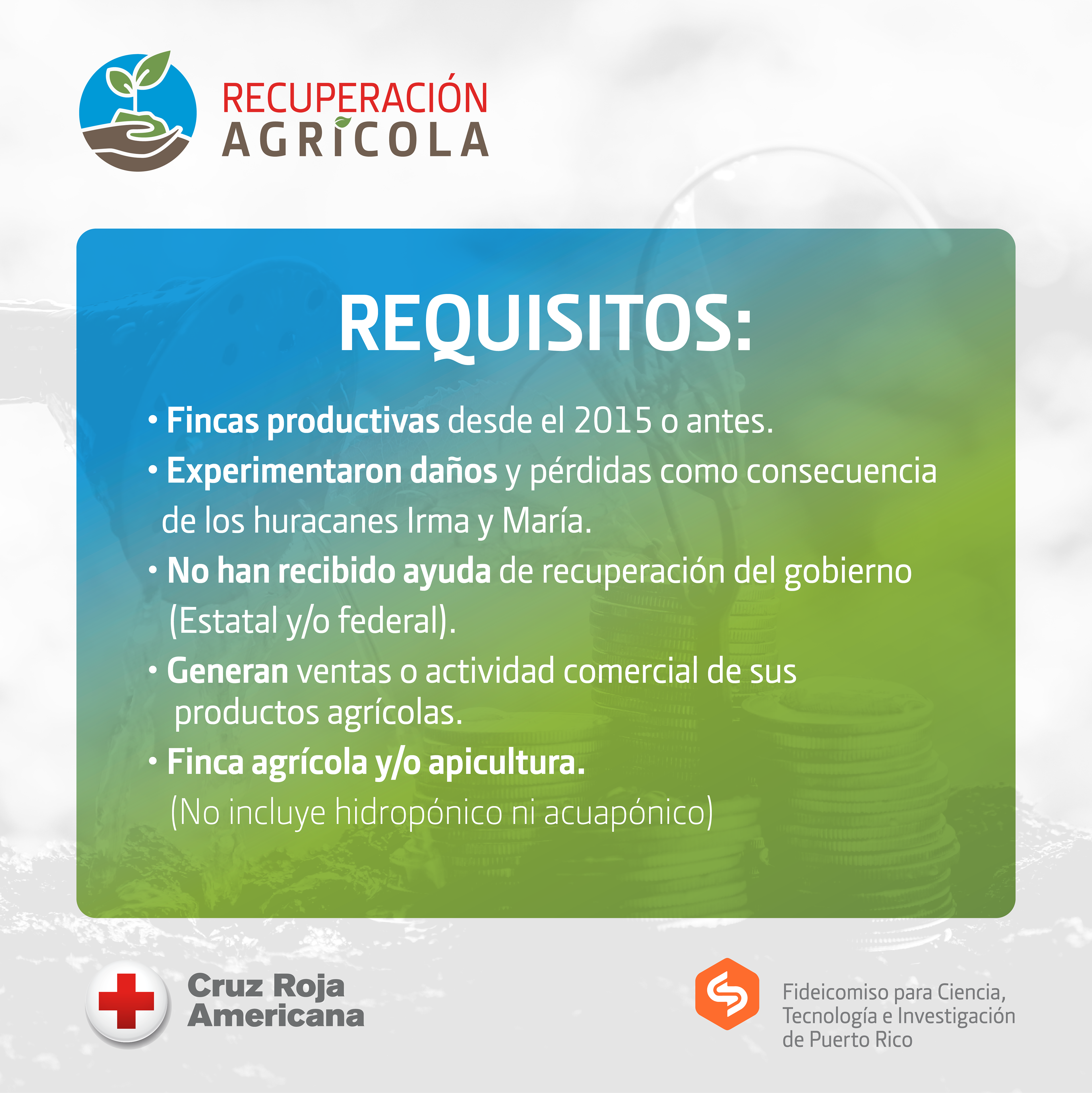 requirements