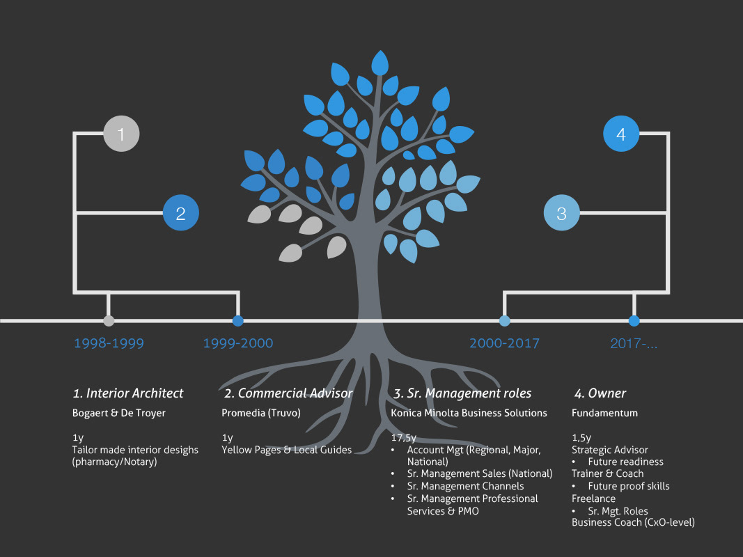 My professional timeline in short