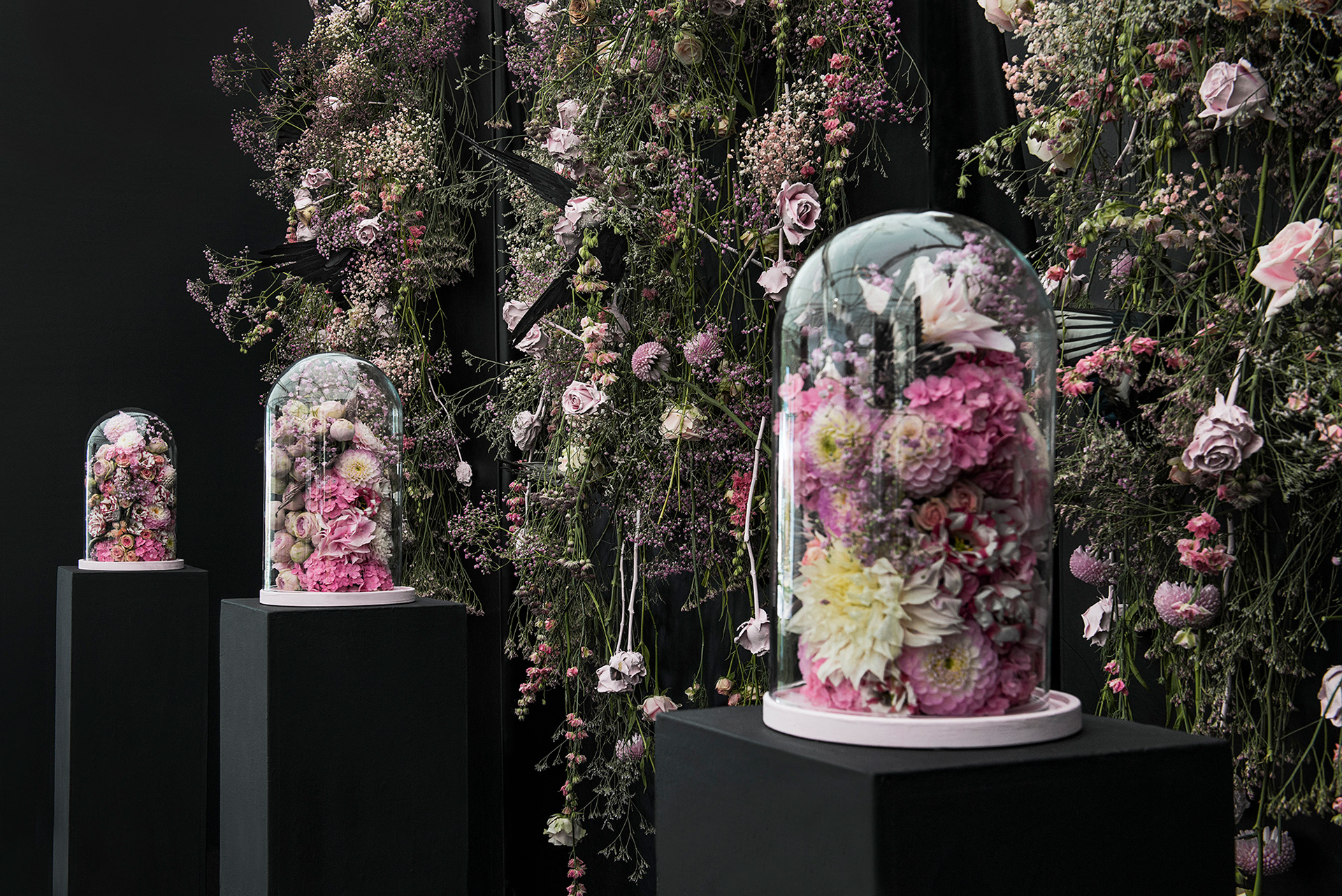 Корейские флористы и их инсталляции