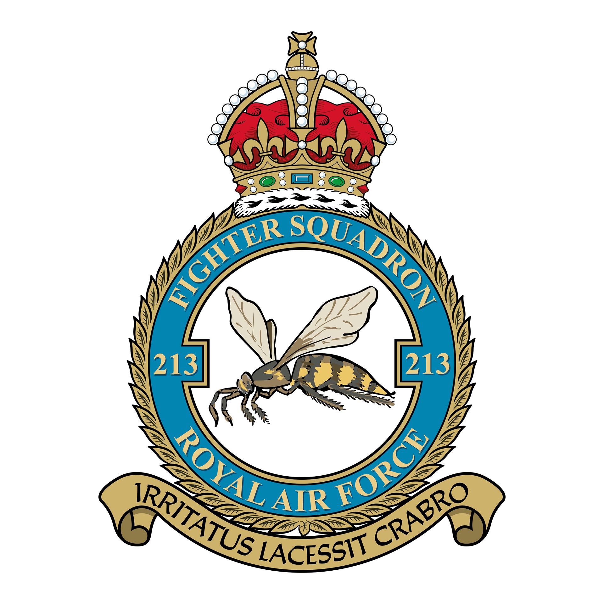 213 Fighter Squadron