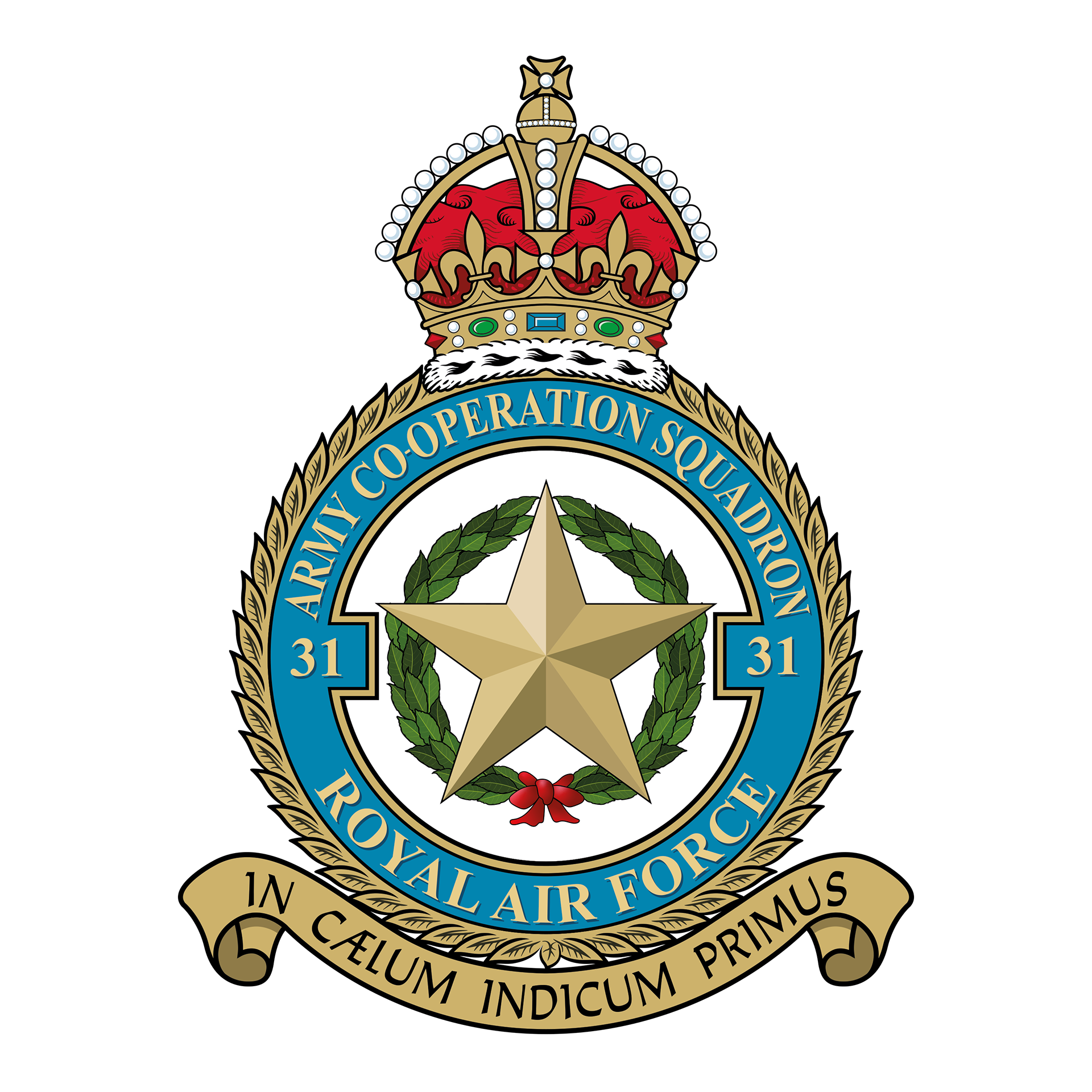 31 Army Co-operation Squadron