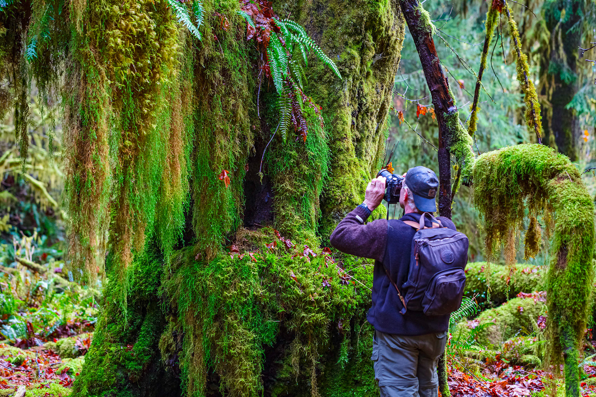 Taken in Olympic National Park, Washington USA