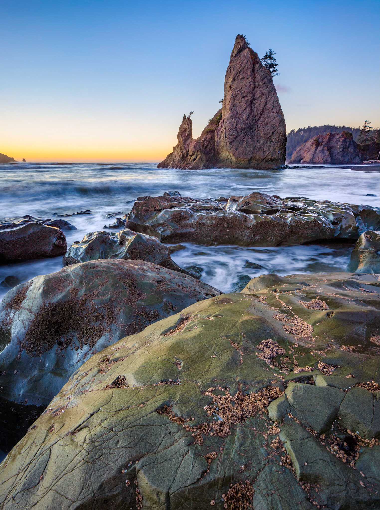 The rocky pacific shoreline of the Olympic National Seashore in Washington
