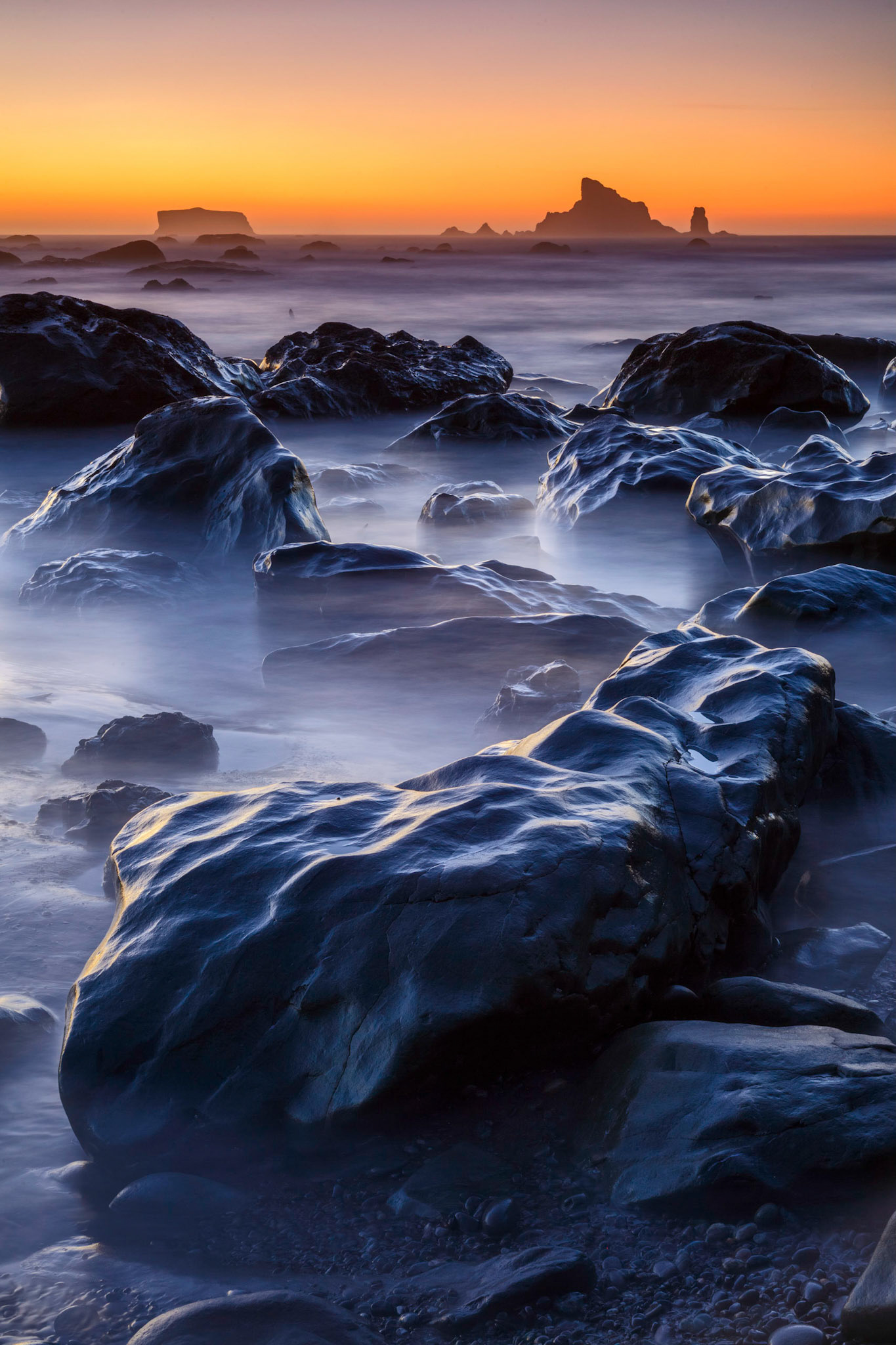 Taken in Olympic National Park, Washington USA