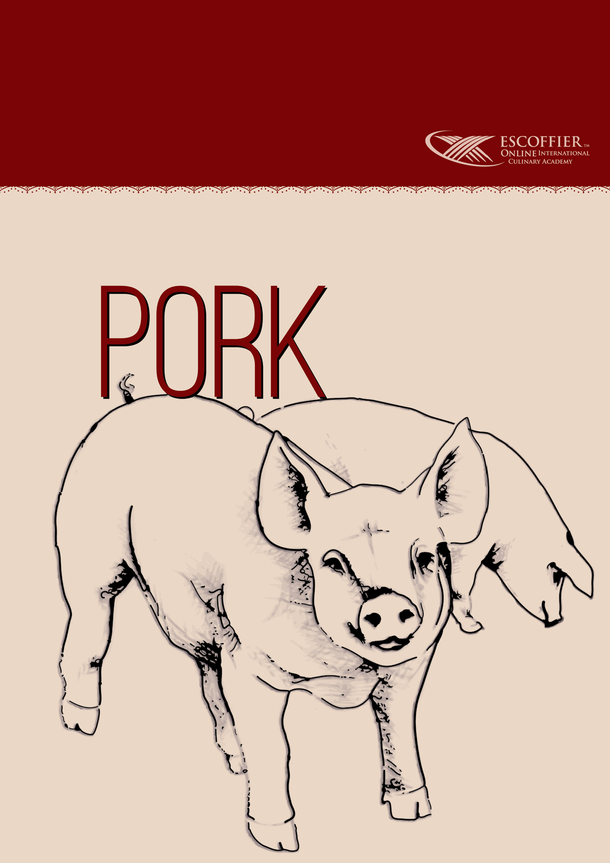 Fullviewdesign - Escoffier Book Covers / Cookery Volume