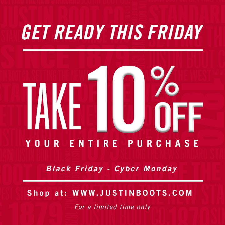 Promotion on Black Friday