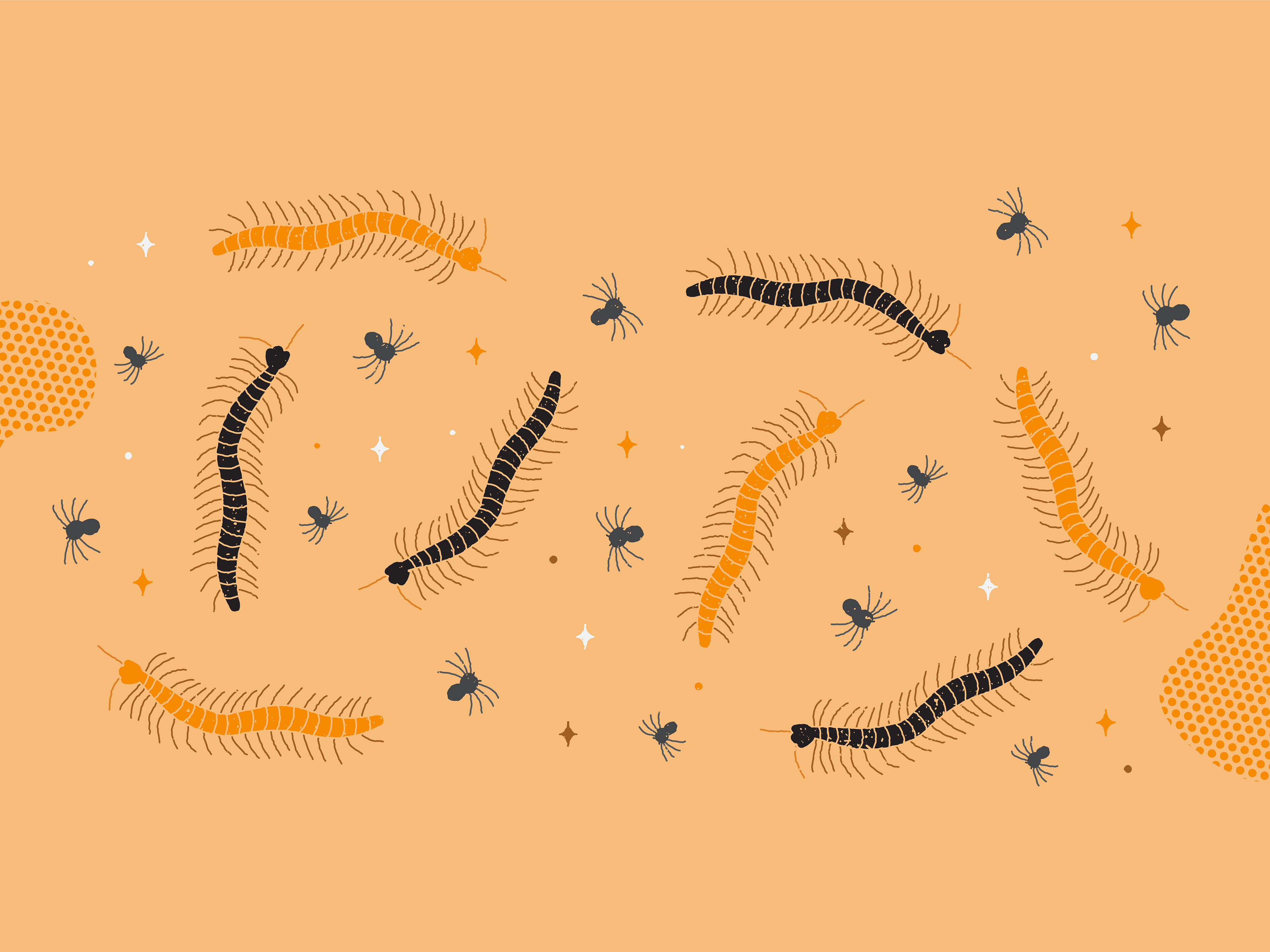 Inktober | Day 31 | Crawl