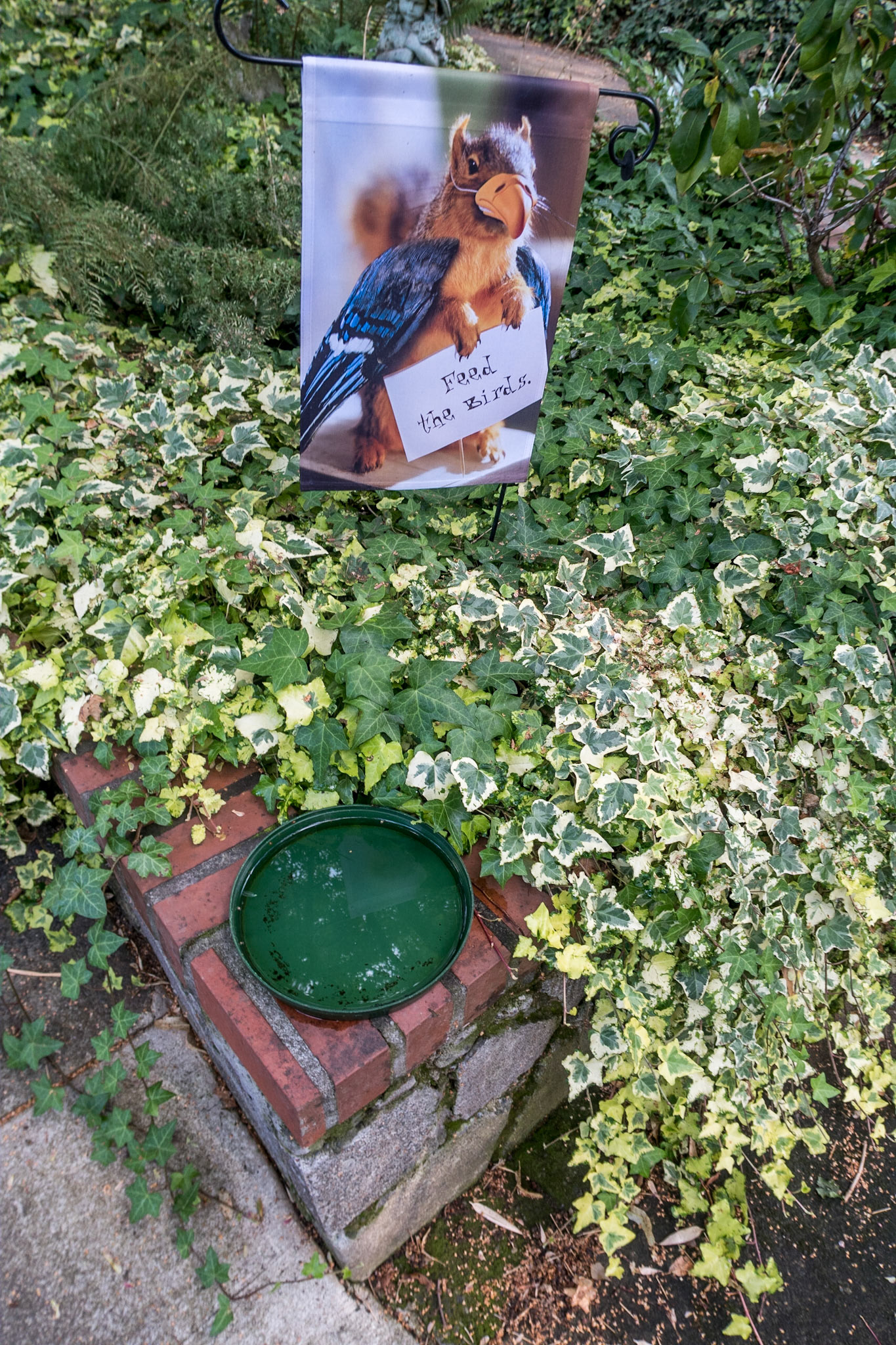 Feed the Birds