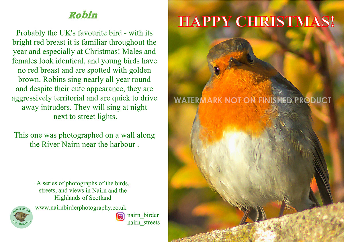 £2.75 per card. Rectangular Card. Order Ref: CR3