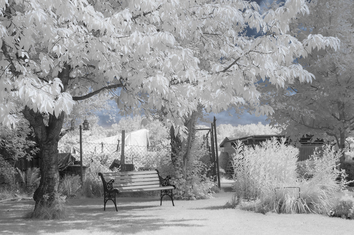 Penatxians Usertreffen