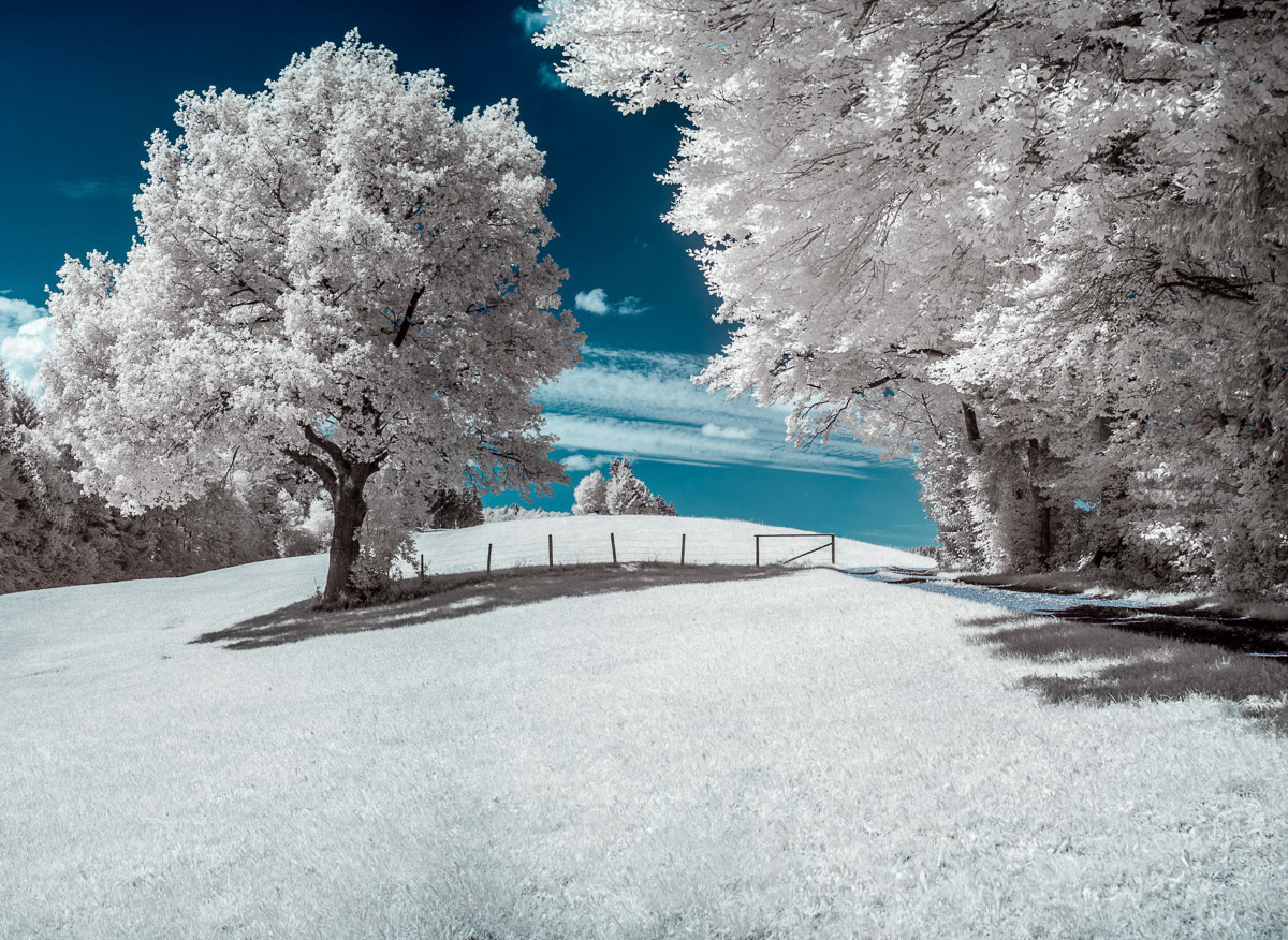 Exploring the world in 720nm