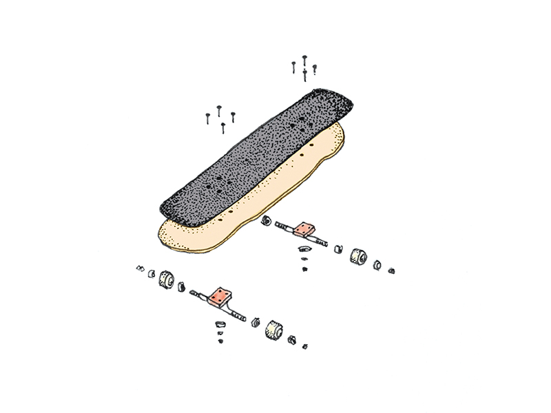 A coloured up version of the exploded skateboard deck