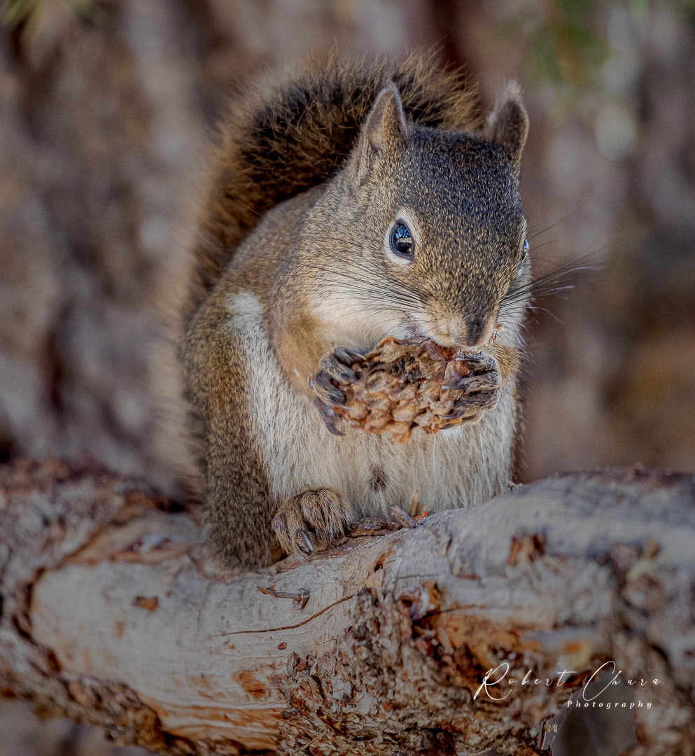 Snacktime