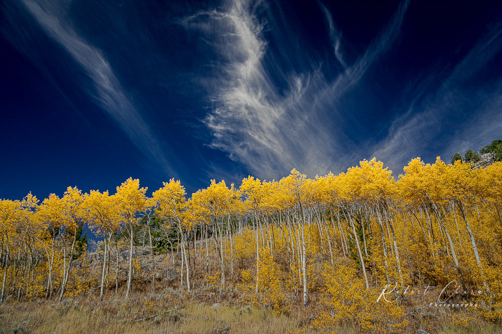 Apens and Clouds