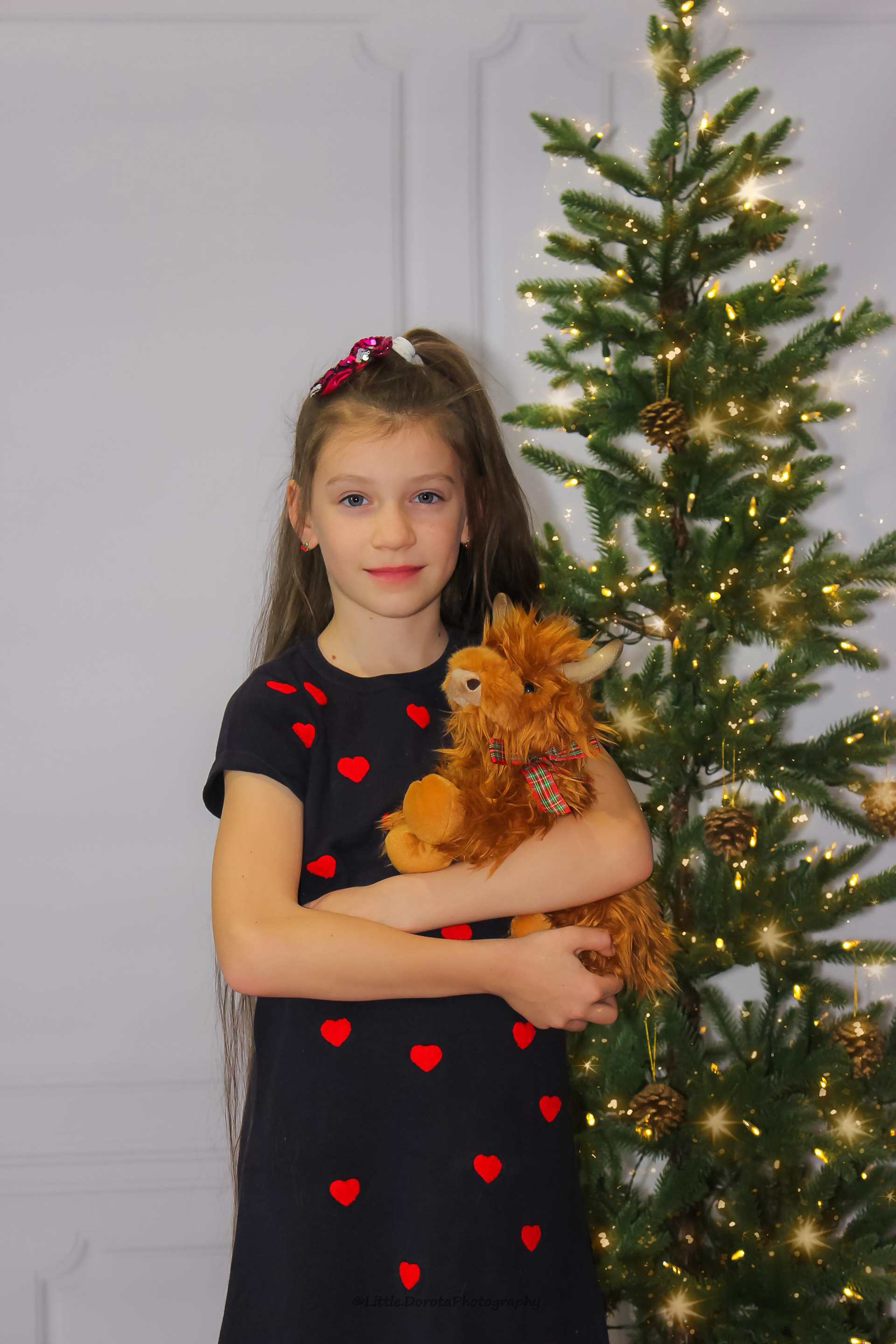 X-MAS 2021 Nikola