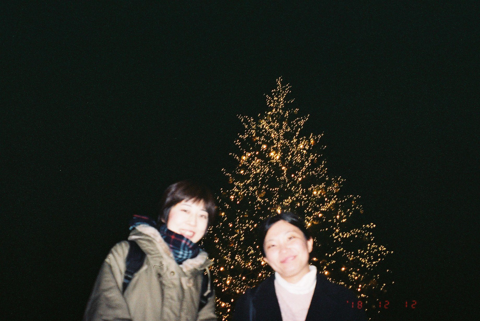 O Christmas Tree