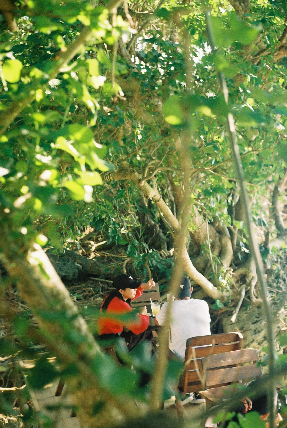 Dining in the wild?