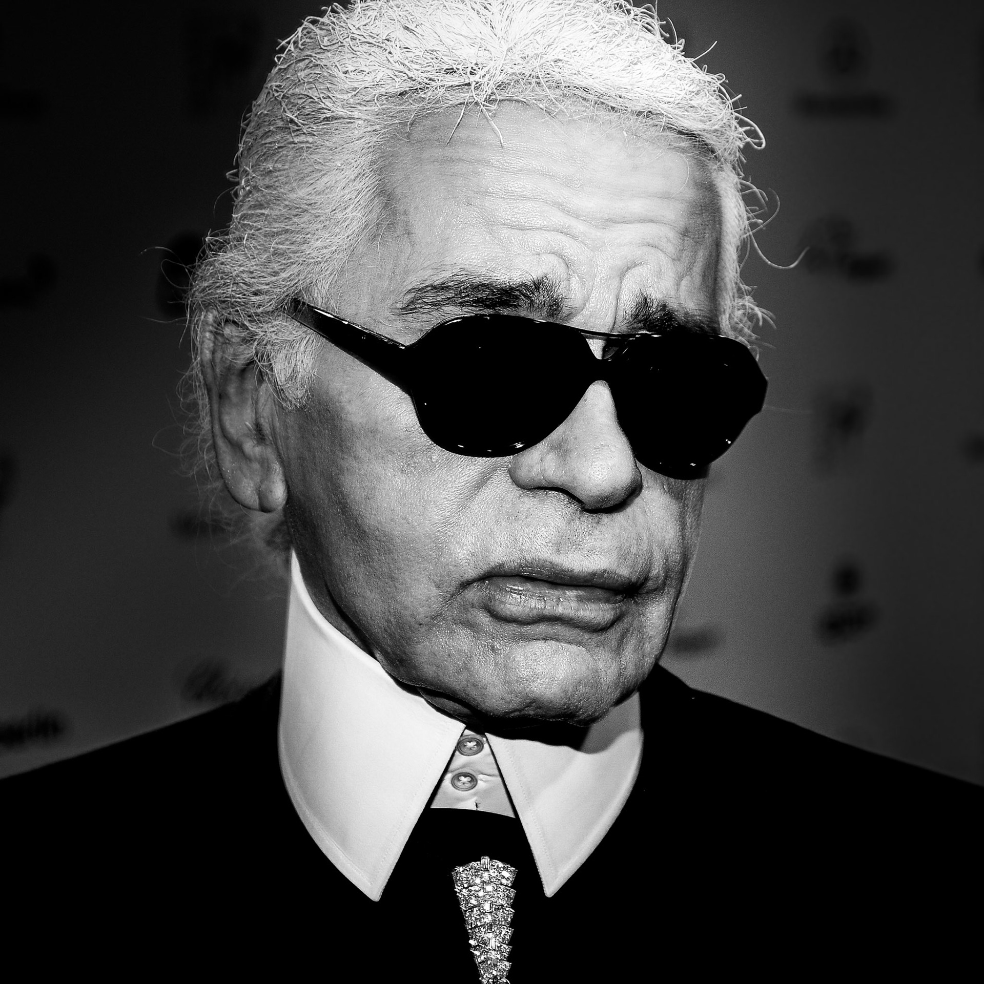 Karl Lagerfeld im Jahr 2008 († 19. Februar 2019)