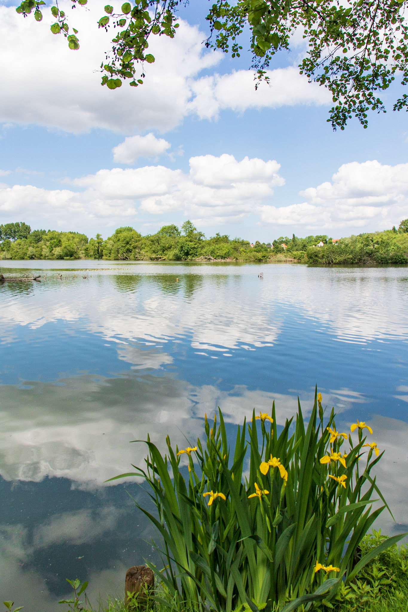 Lac d'Ardres