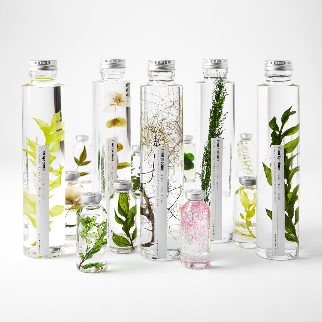 Plant Specimens - SlowPharmacy