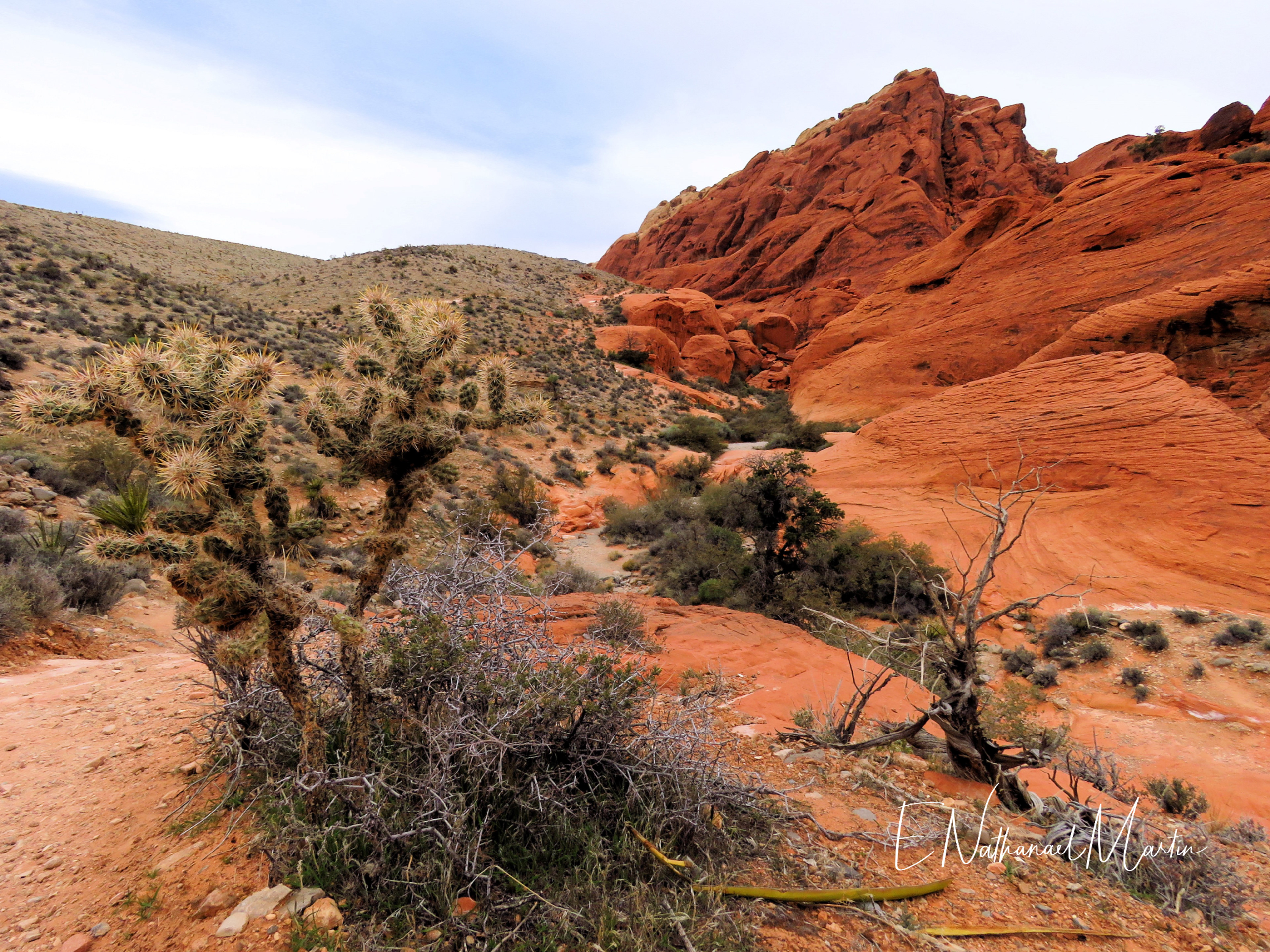 Nature by Nat Photography Valley of Fire and Red Rock Canyon