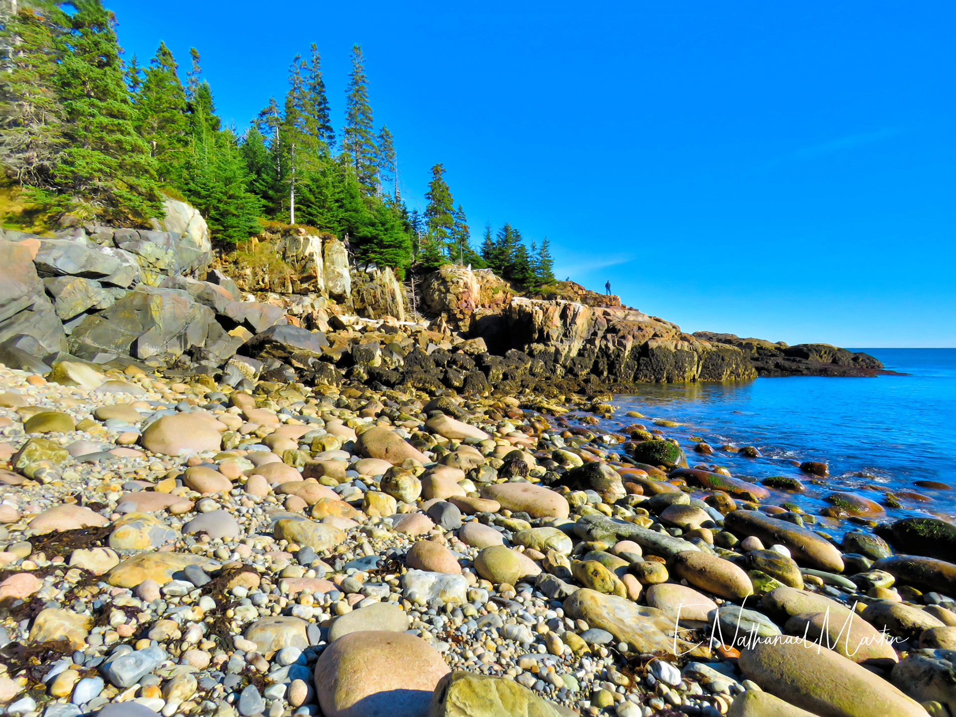 Nature by Nat Photography - Acadia National Park