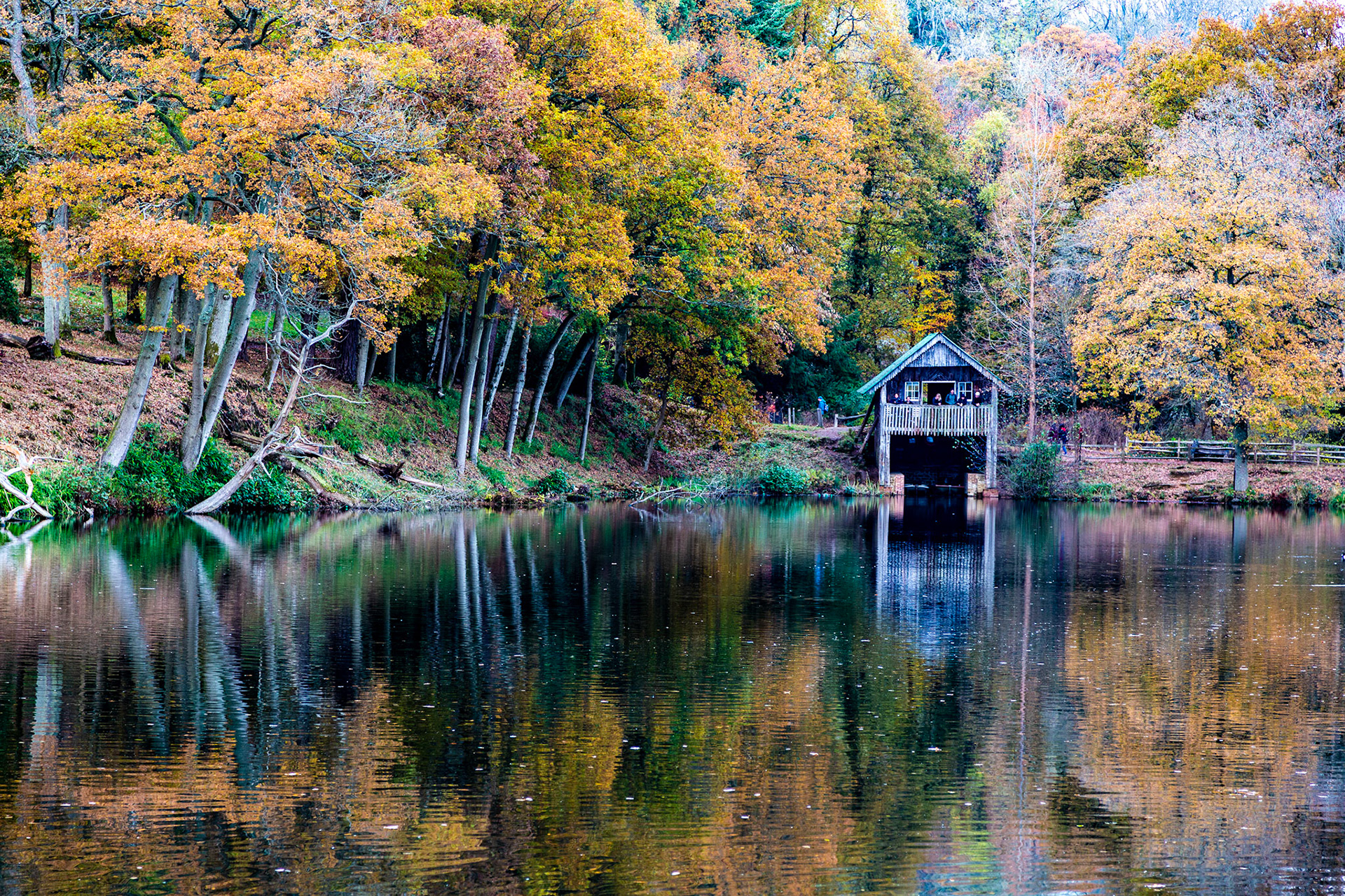 The Surrey Journal Winkworth Arboretum