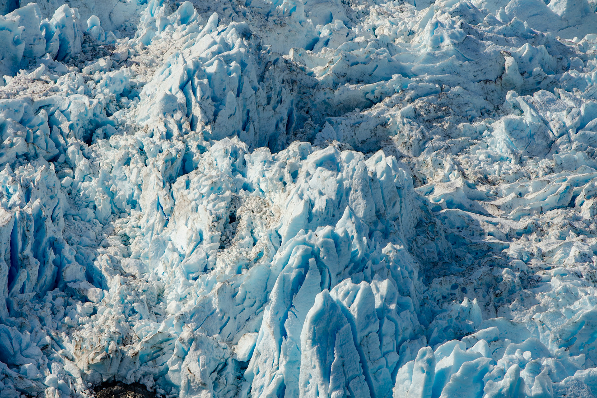 Aialik Glacier