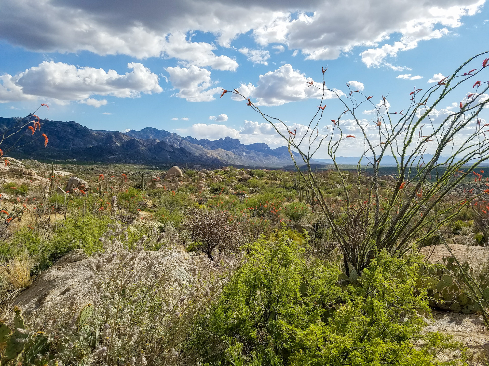 Tucson