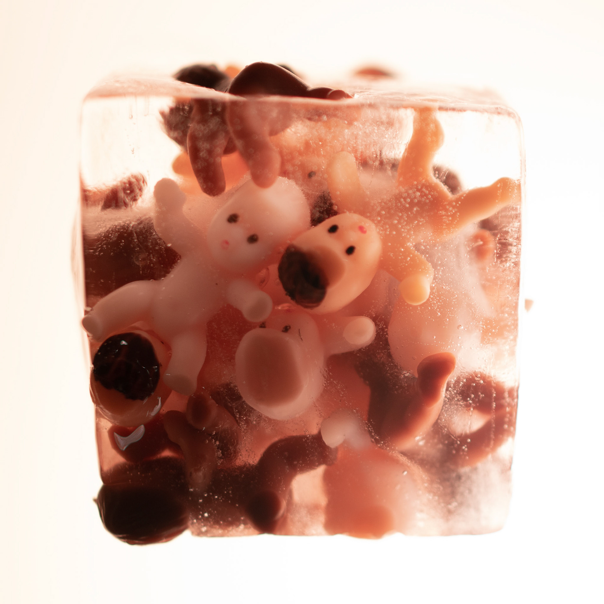 35mm 1/50s f/2 ISO 250