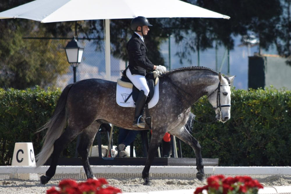 Marc Amat & PRE Stallion Ambicioso