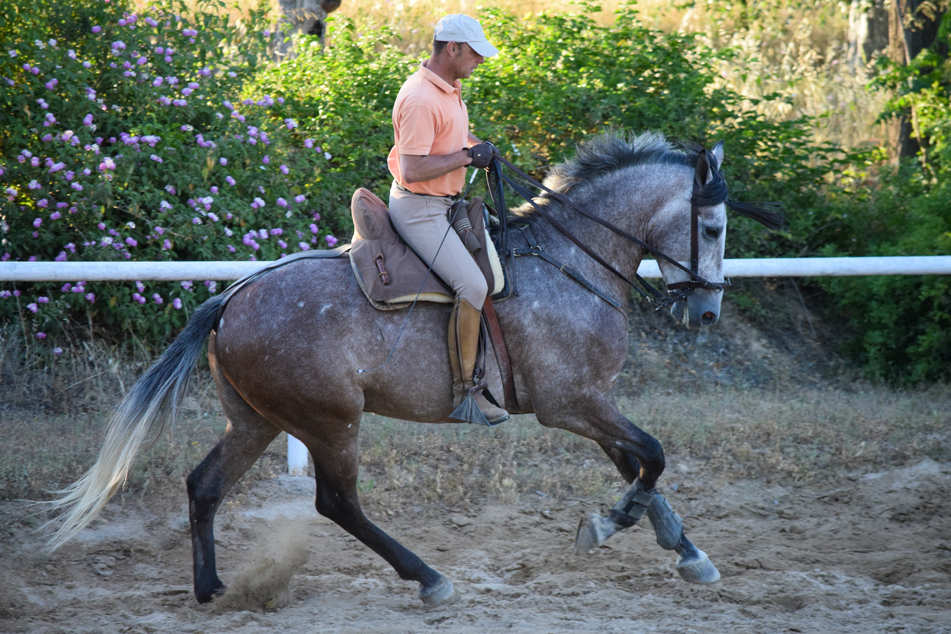 Spanish Doma Vaquera Rider