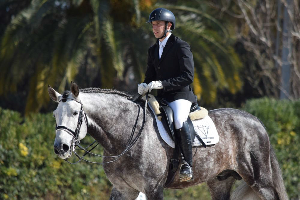 Marc Amat & PRE Stallion Ambicioso