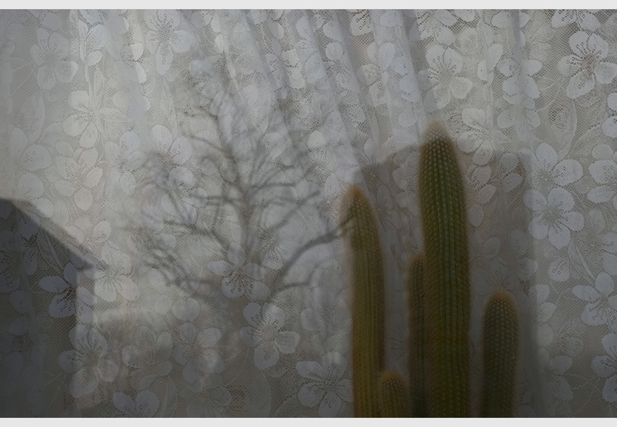 krystina stimakovits, photography, art photography, urban, abstraction, krystinastima, london, stima-images, myportfolio, steps into a mirror, mirror, glass, window, reflection, water, facade, layers