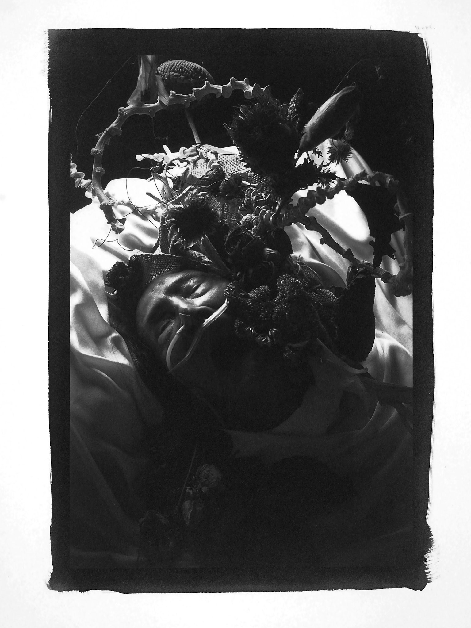 Series LAST DANCE OF KAZUO OHNO