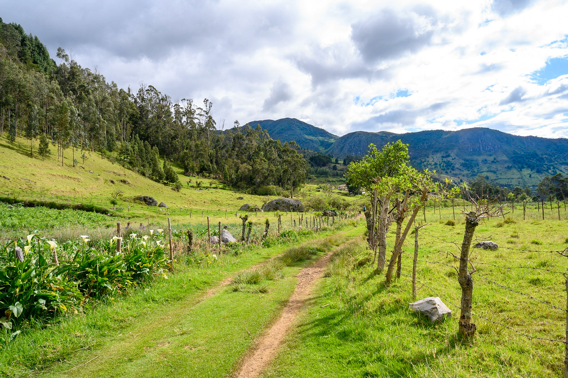 Silvia, Cauca, Colombie