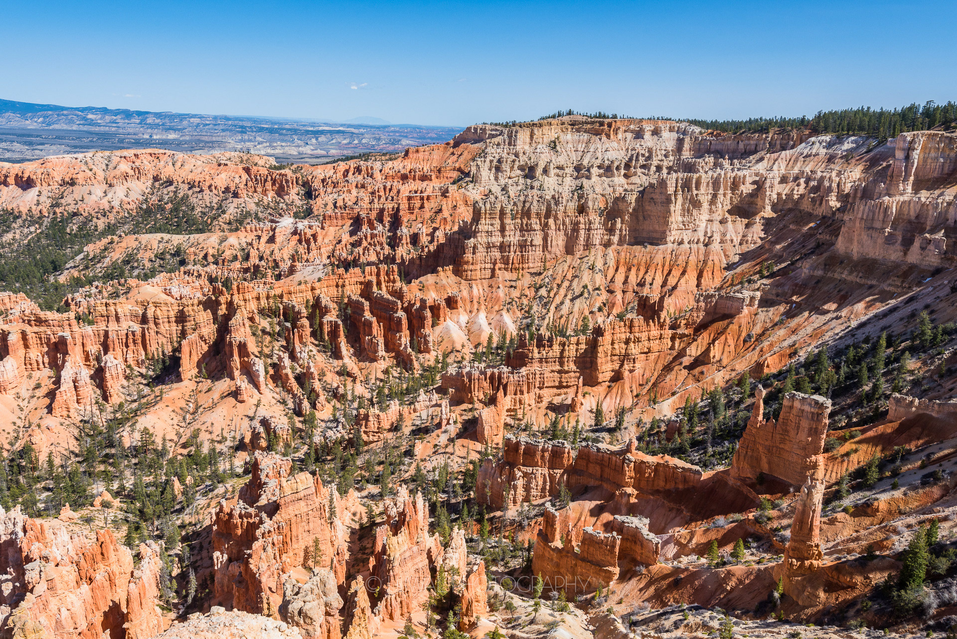 Crimson colored Hoodoos, Bryce Canyon National Park, Utah, USA