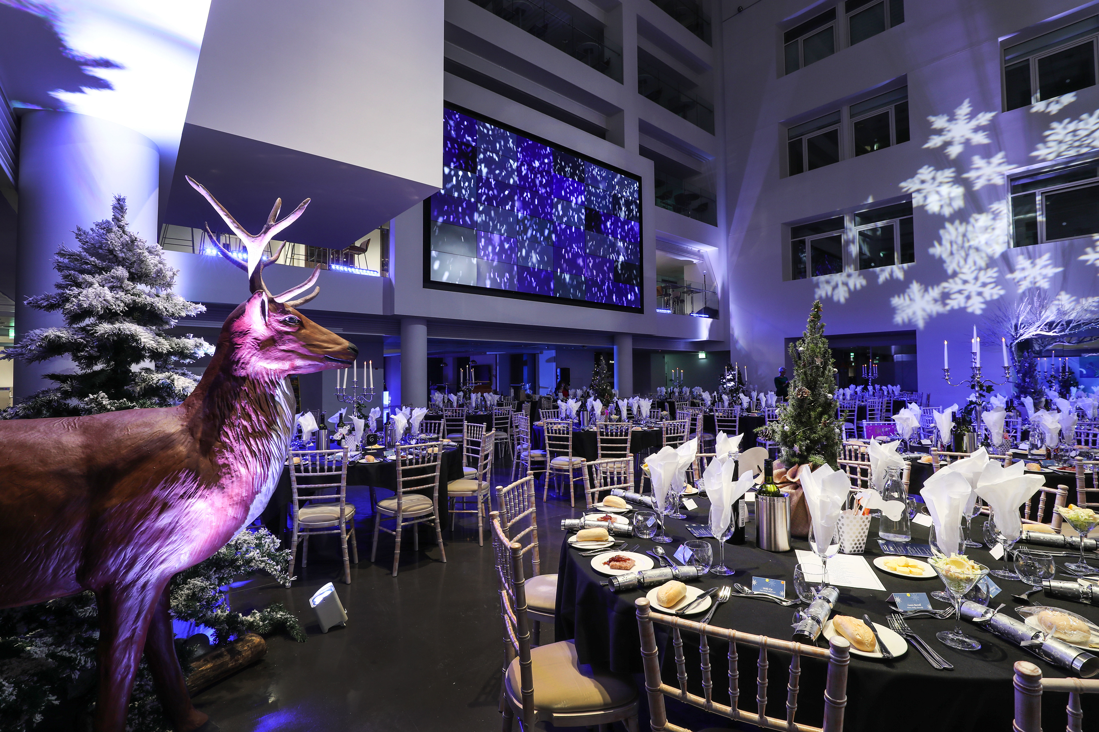 Event photography by Southampton photographer Stuart Martin