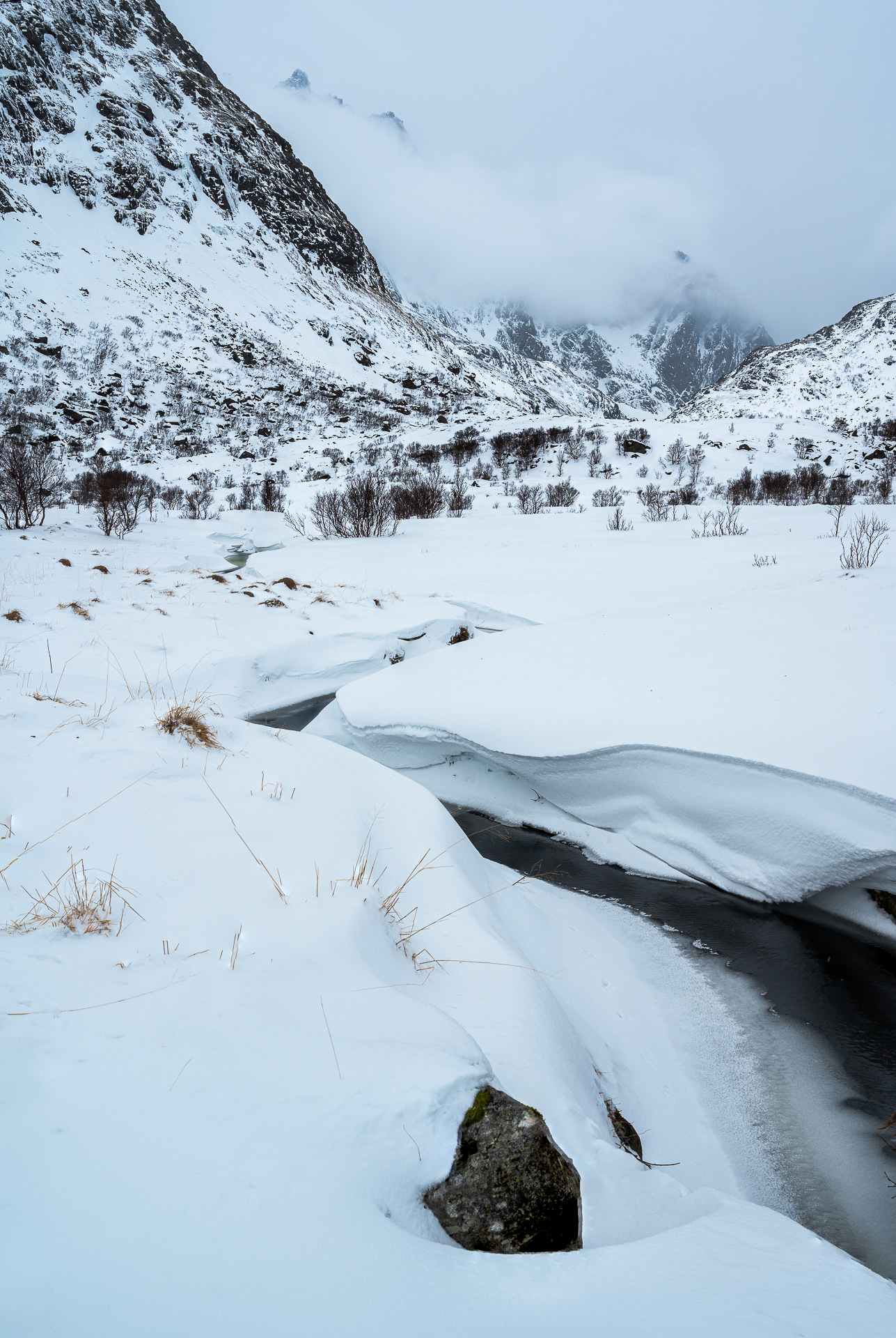 Lofoten