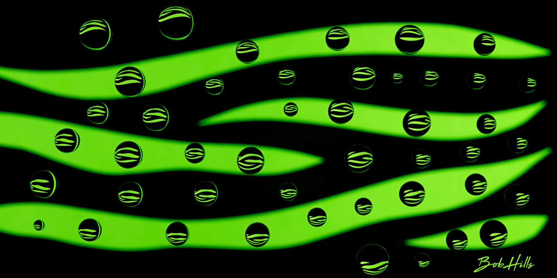 Lime & Black Abstract