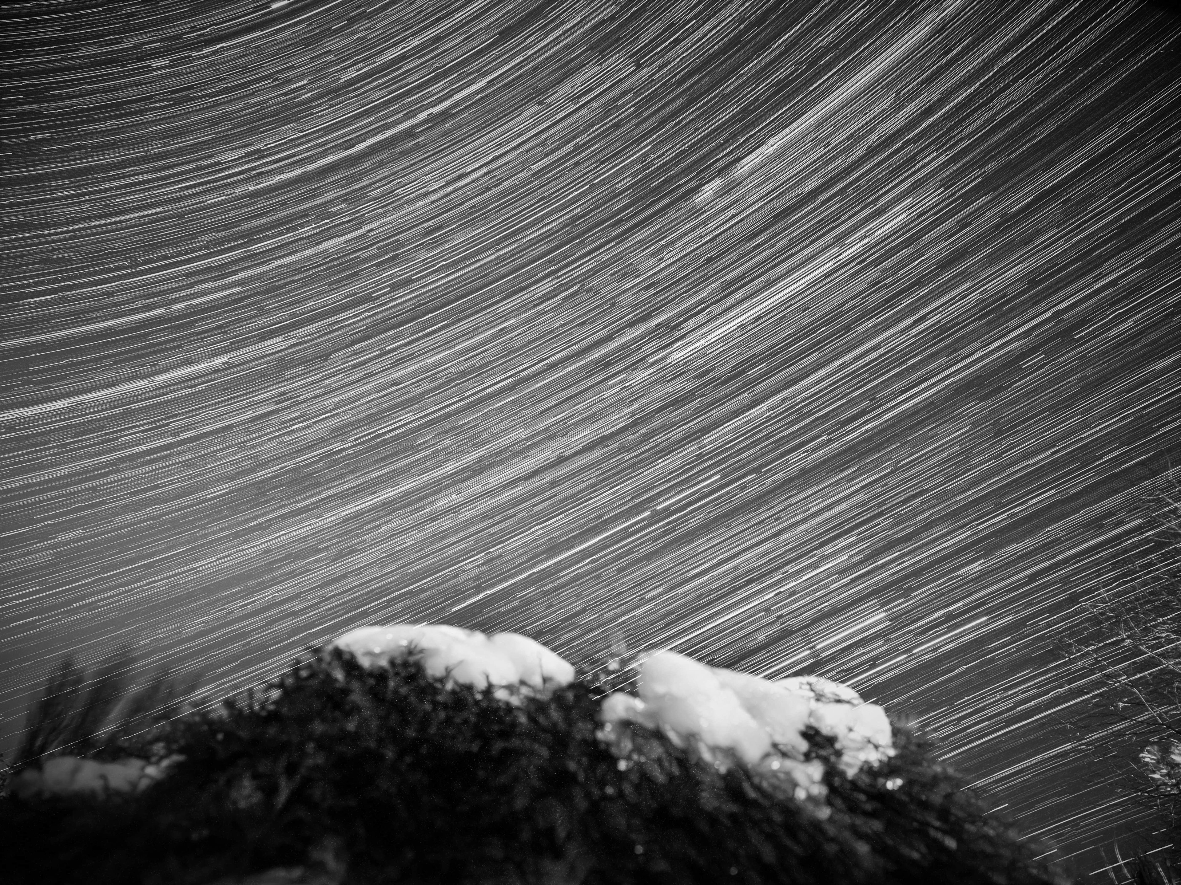 Startrail in Winter