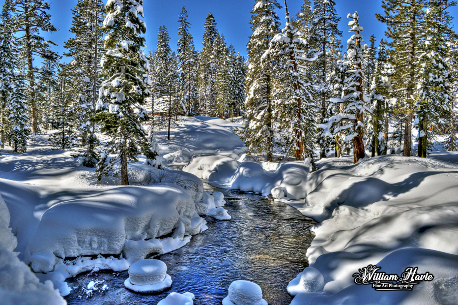 Sugarland Forest Yuba River Big Bend