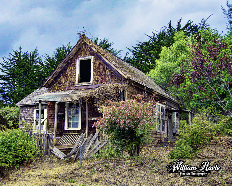 Single Shack