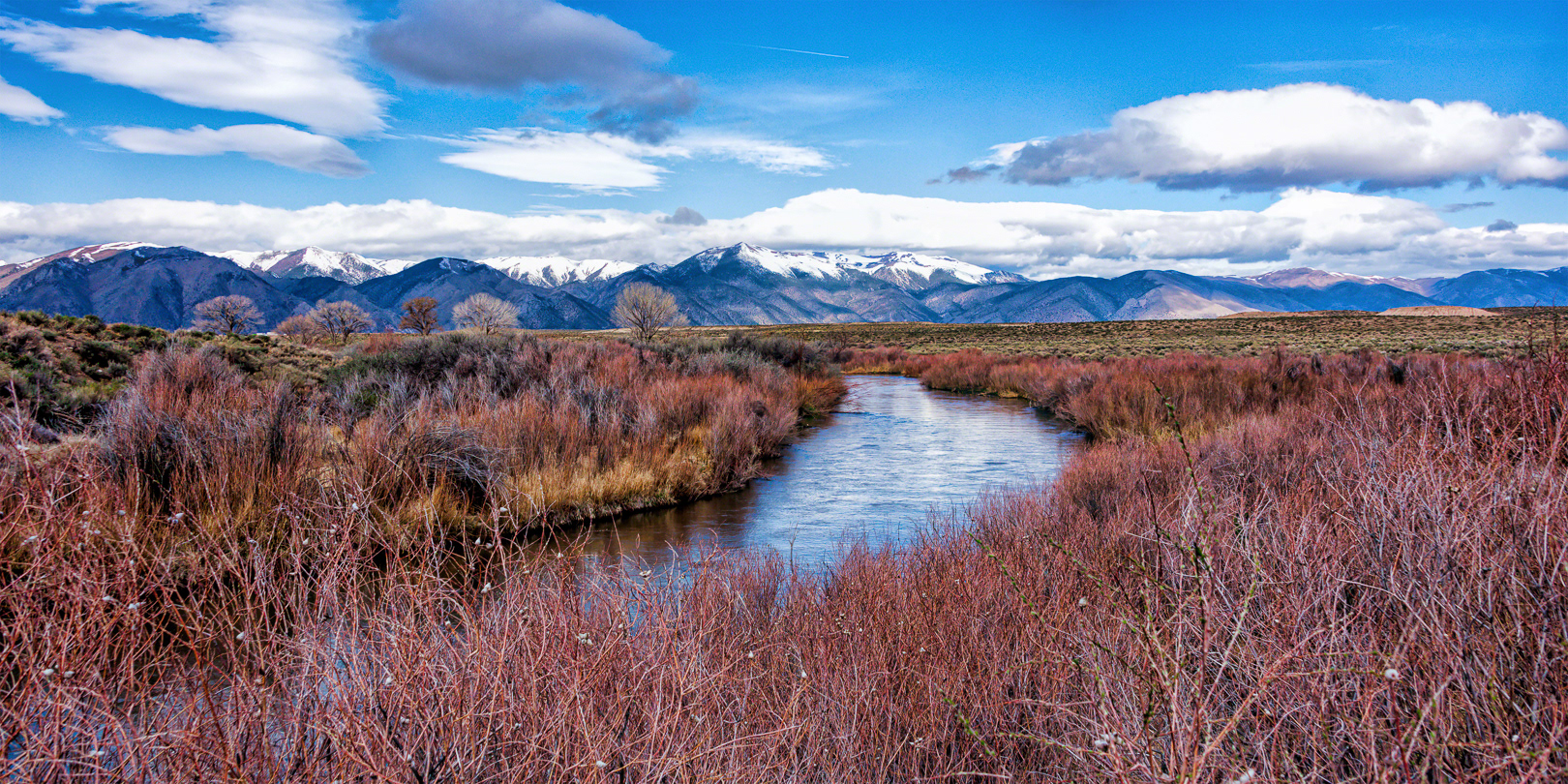 Walker River Nevada