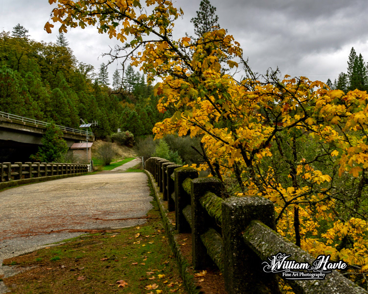 Looking Over The Bridge