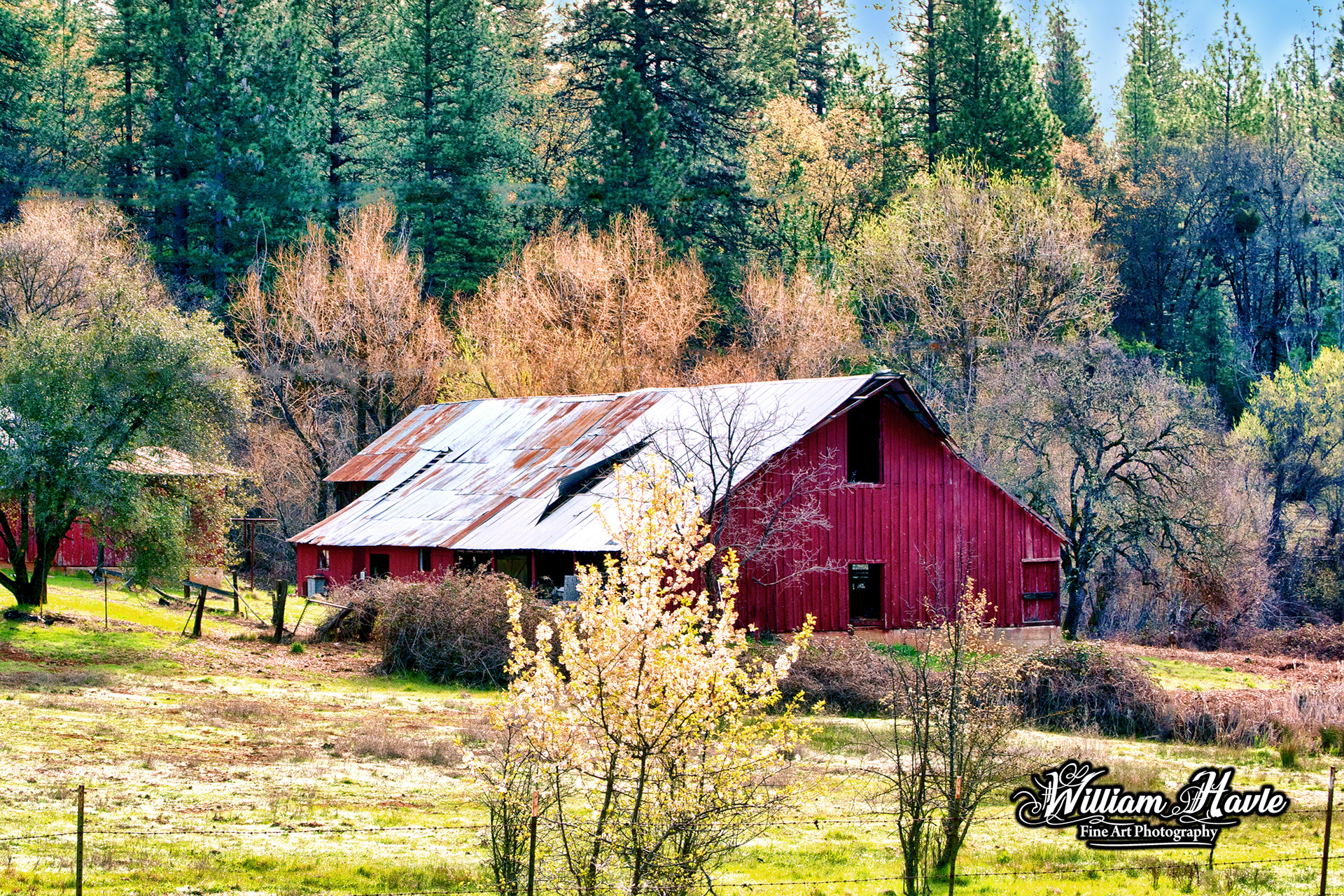 Red Country Barn