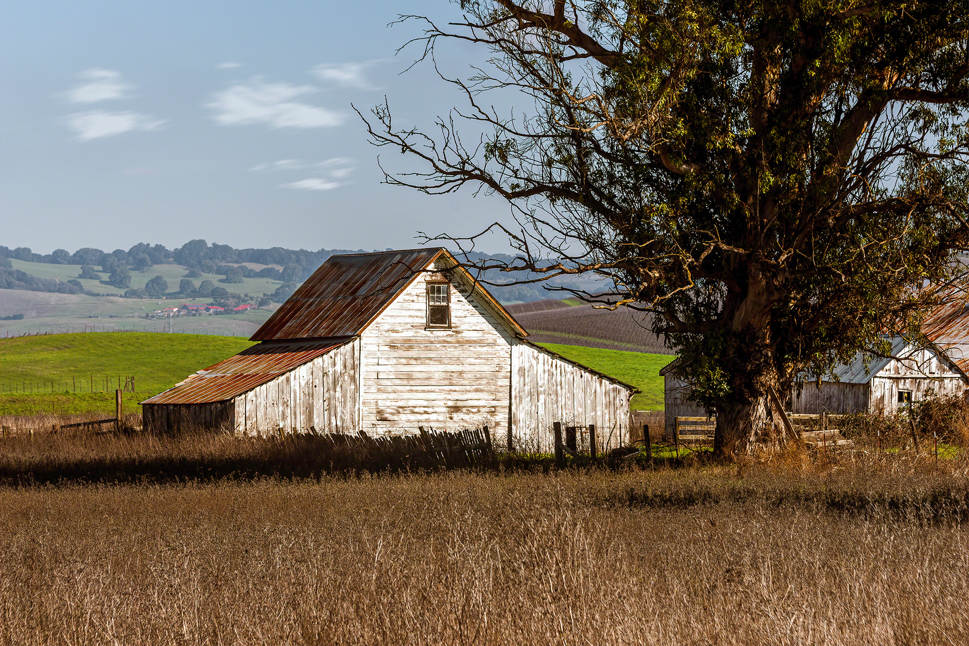 The Old Barn
