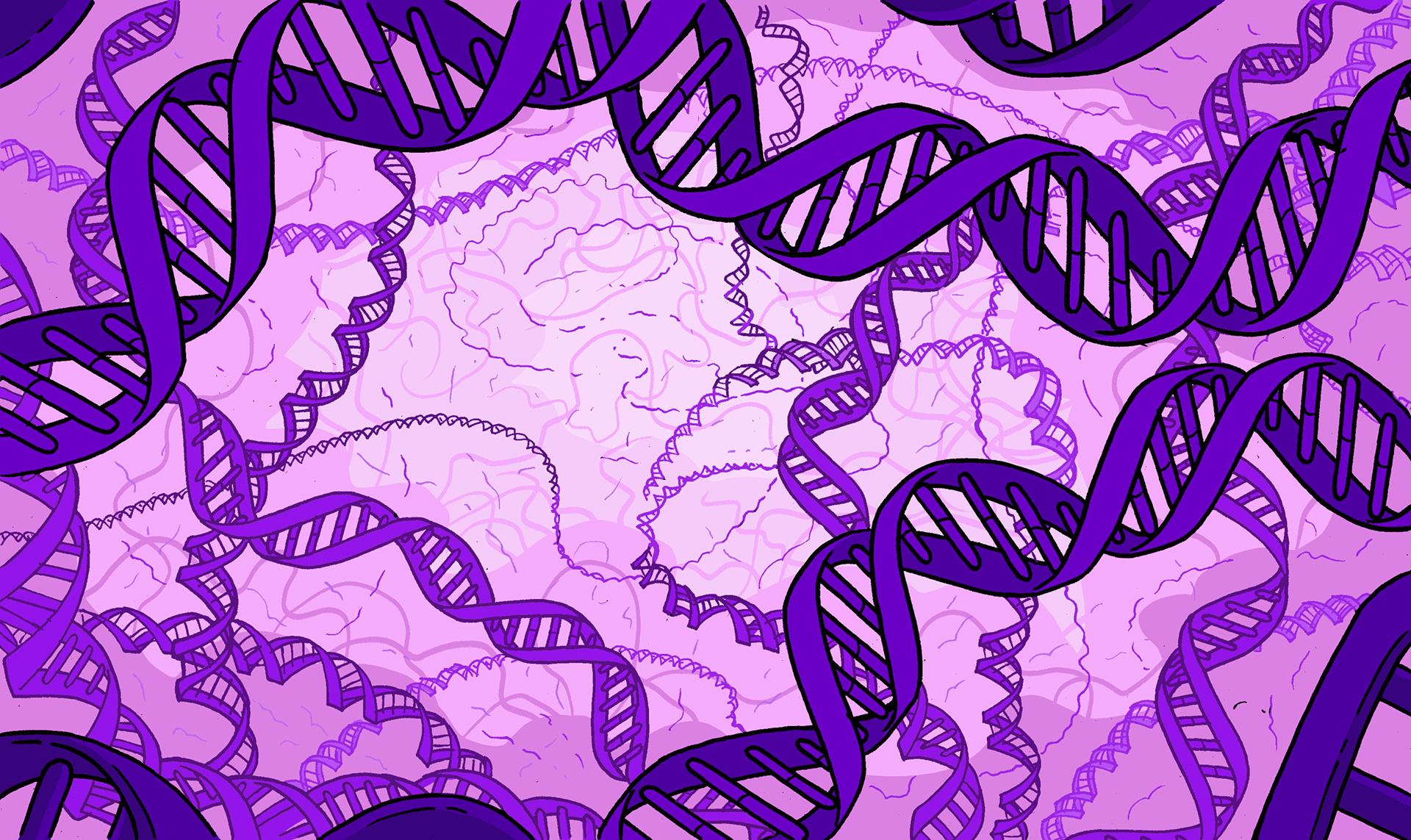 "A Parliament of Genes" within the cell nucleus for Stated Clearly (2021)