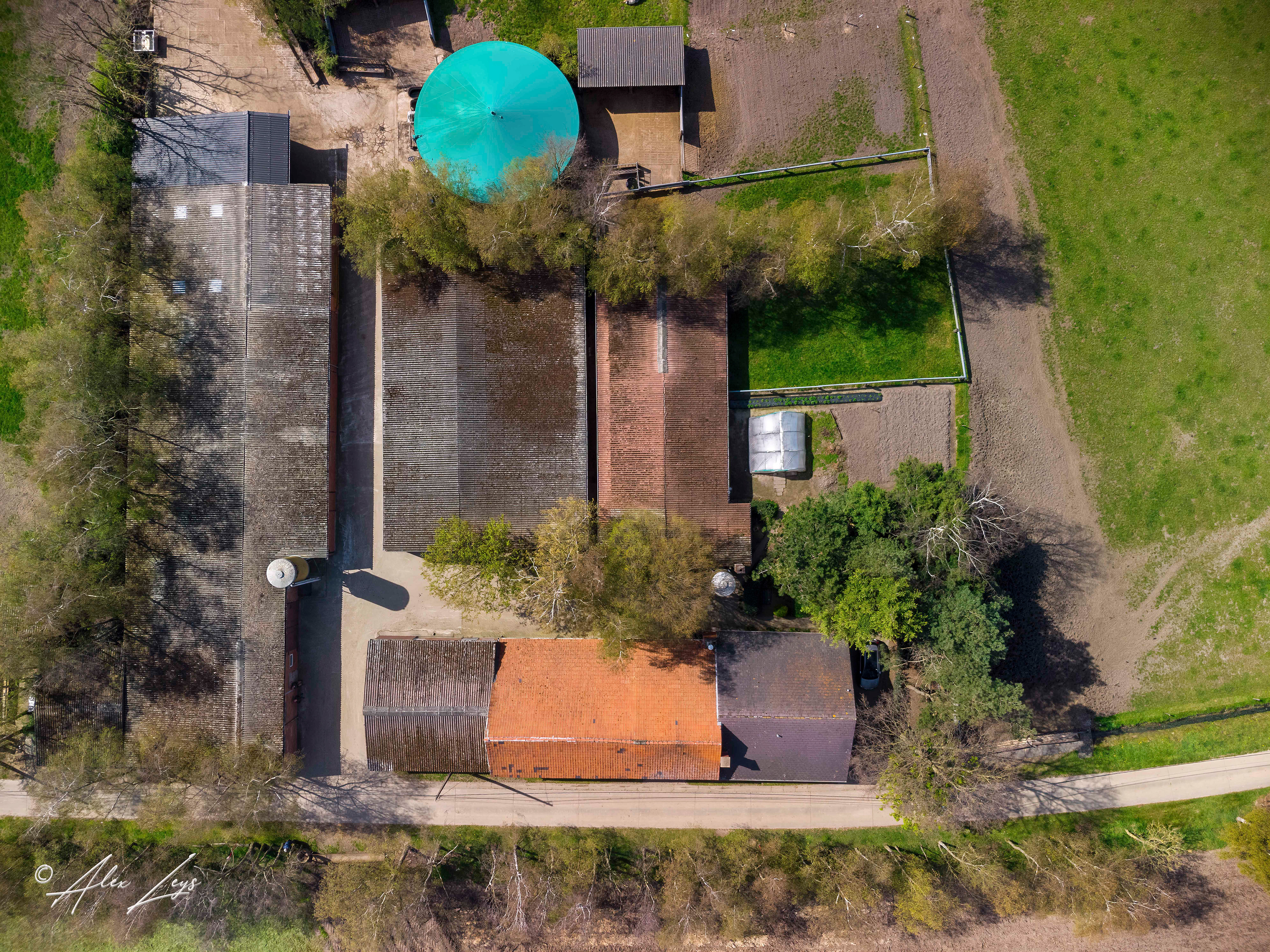 "Het Hemelrijk" kwekerij Belgisch Witblauw